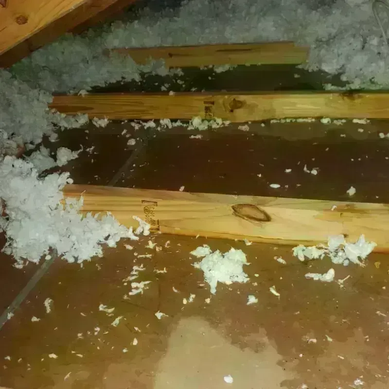 Attic Water Damage in Buckhorn, CA