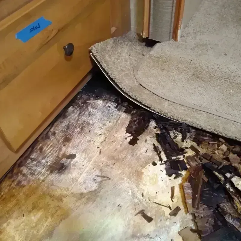 Wood Floor Water Damage in Buckhorn, CA